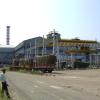 Site View