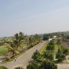 Elegant View (4)