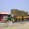 Weigh Bridge